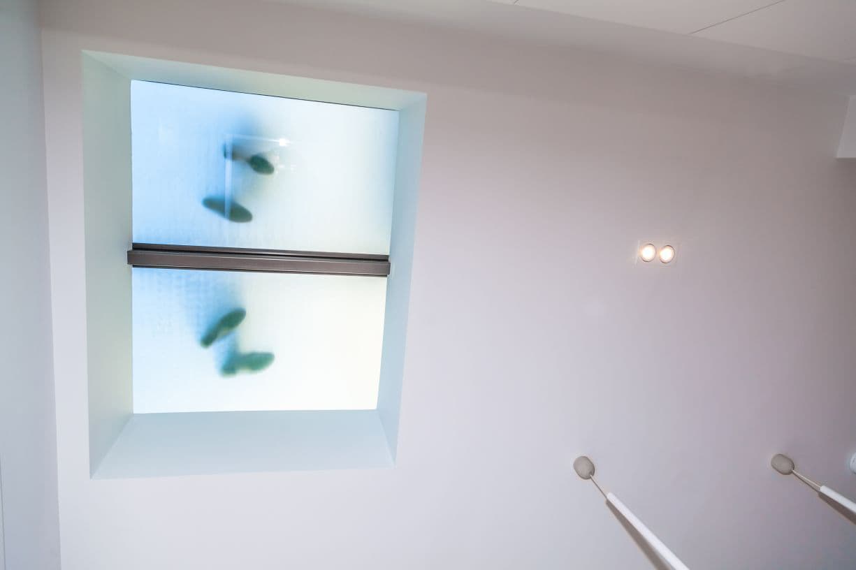 Walk on Glass Floors